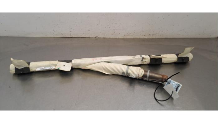 Airbag plafond Tesla Model X