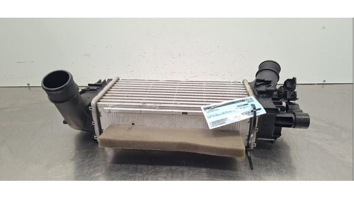 Intercooler Ford Puma