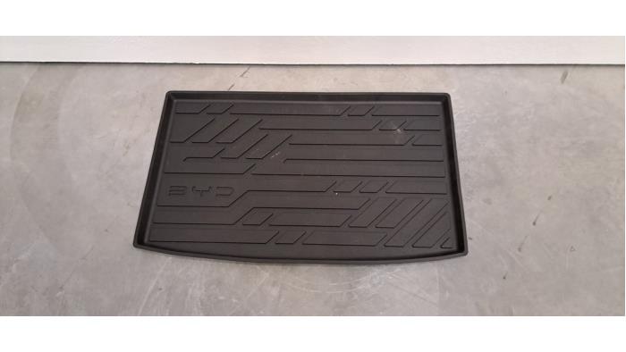 Coffre tapis BYD Dolphin