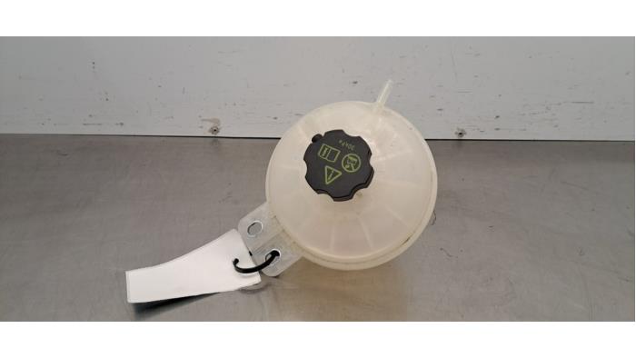 Réservoir d'expansion BYD Dolphin