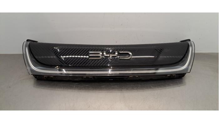 Kit de lumière de jour BYD Dolphin