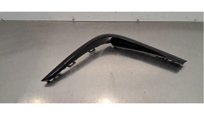 Bande décorative BYD Dolphin