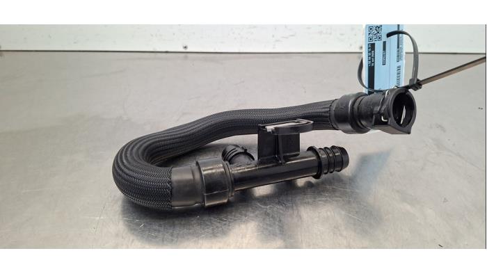 Tuyau radiateur Peugeot Expert