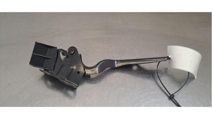 Charnière capot Toyota bZ4X