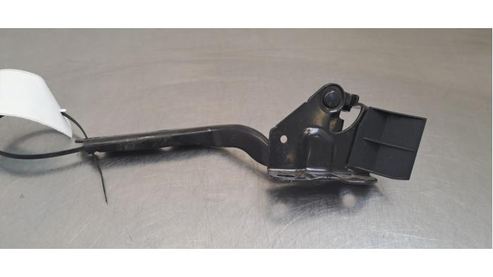 Charnière capot Toyota bZ4X