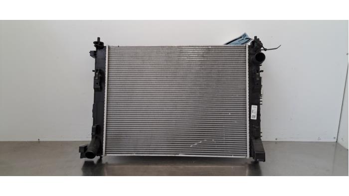 Radiateur Seat Ibiza