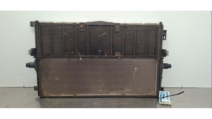 Radiateur Tesla Model Y