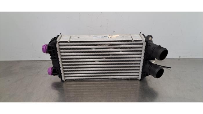 Intercooler Opel Corsa