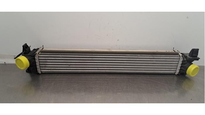 Intercooler Fiat Ducato