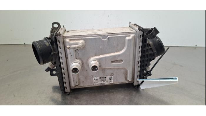 Intercooler Fiat Ducato