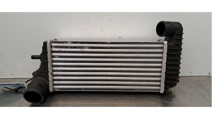 Intercooler Ford Tourneo Connect