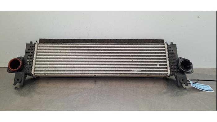 Intercooler Suzuki Vitara
