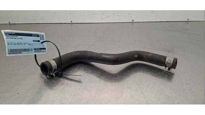 Tuyau radiateur Kia Sportage