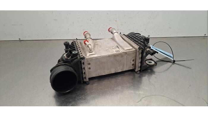 Intercooler Volkswagen Transporter