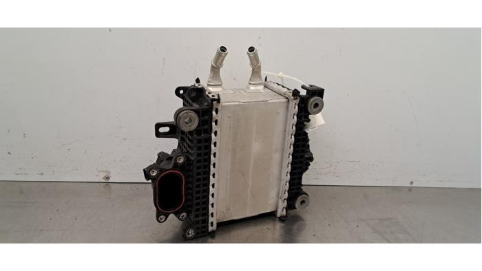 Intercooler Ford Transit