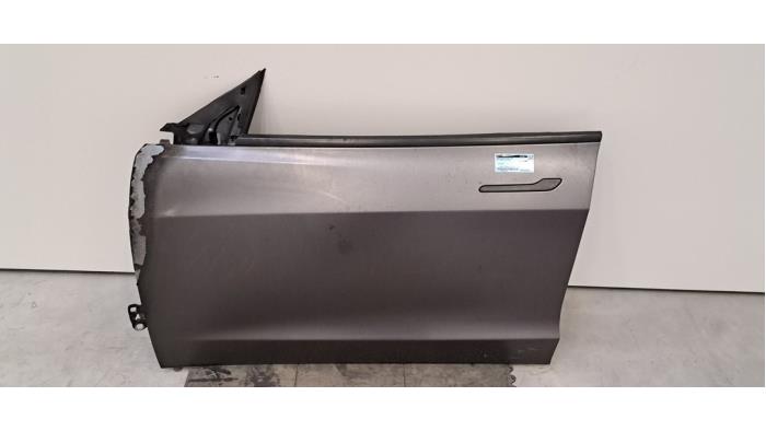 Portière 4portes avant gauche Tesla Model 3