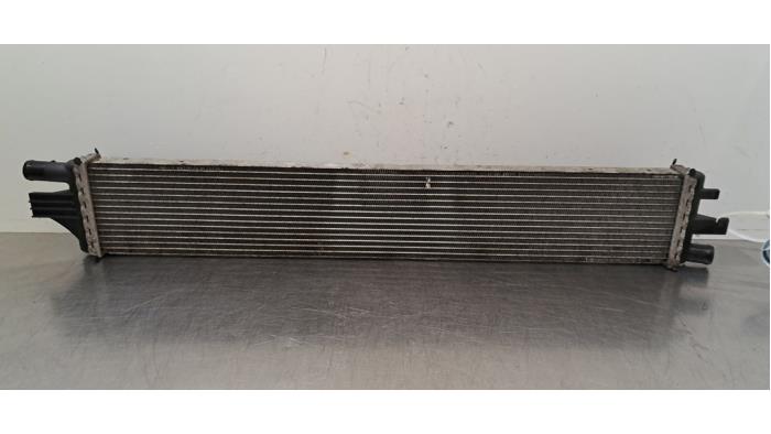 Radiateur Renault Master