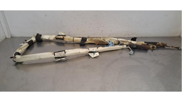 Airbag plafond gauche Tesla Model 3