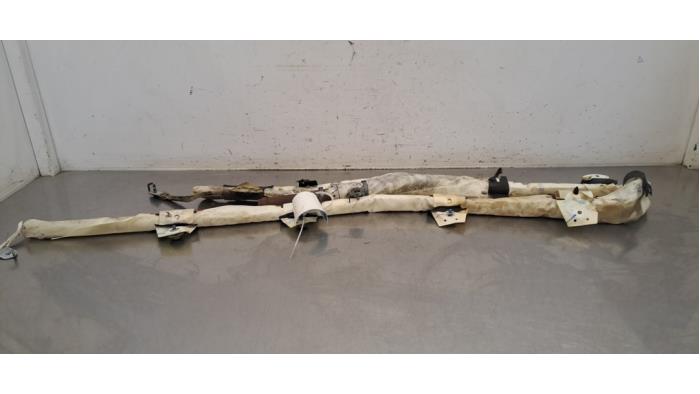 Airbag plafond droite Tesla Model 3