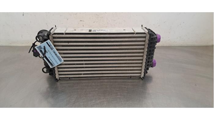 Intercooler DS Automobiles Ds3 Crossback