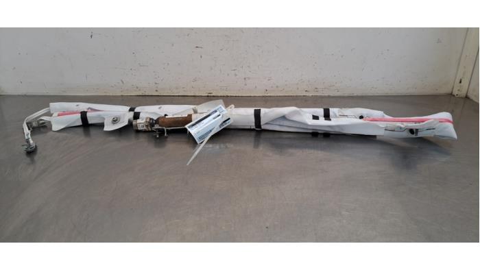 Airbag plafond droite Tesla Model 3