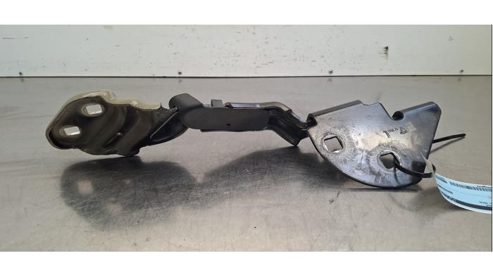 Charnière capot Tesla Model 3