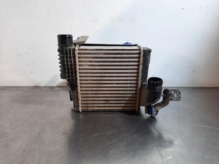 Intercooler Citroen 