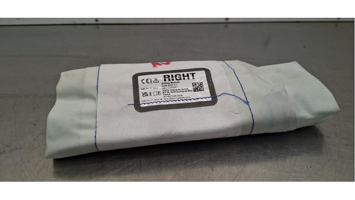 Airbag siège Tesla Model 3