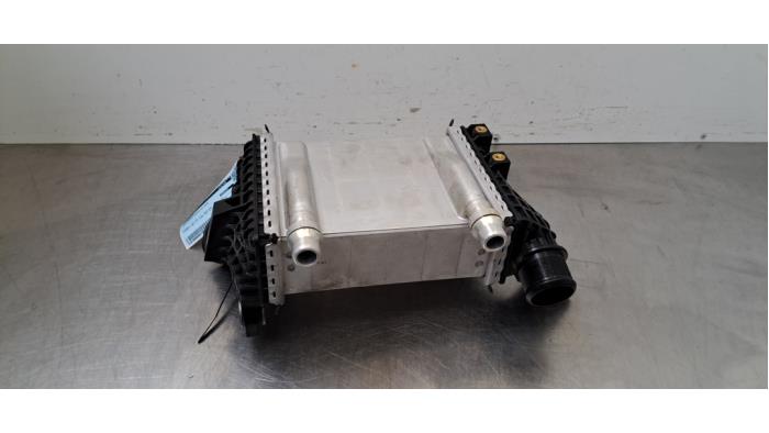 Intercooler Alfa Romeo Tonale