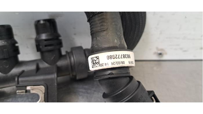 Tuyau radiateur Citroen C4