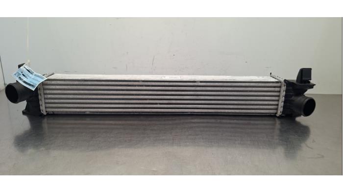 Intercooler Citroen Jumper