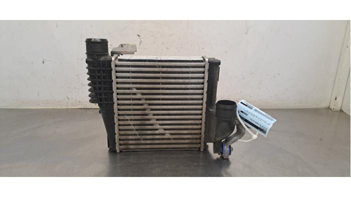 Intercooler DS Automobiles DS7 Crossback