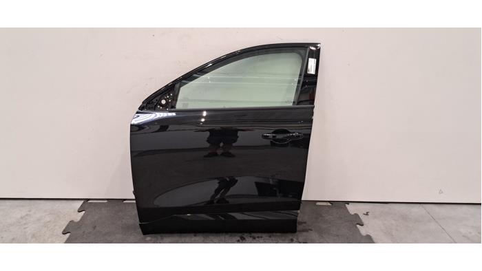 Portière 4portes avant gauche Renault Rafale