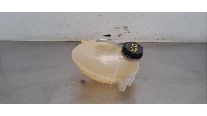 Réservoir d'expansion Ford Fiesta