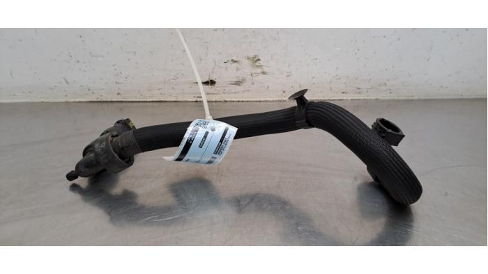 Tuyau radiateur Citroen Berlingo