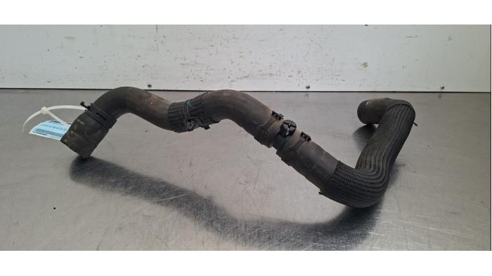 Tuyau radiateur Nissan Micra
