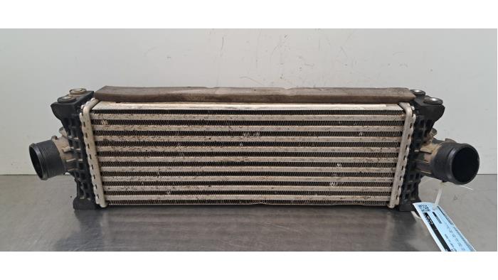 Intercooler Ford Transit Custom