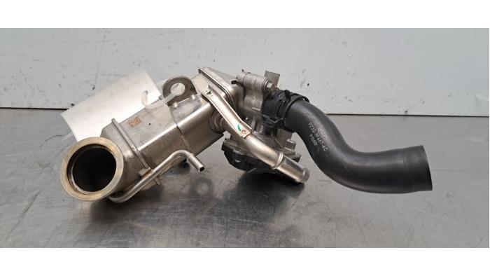 Valve RGE Ford Transit Custom