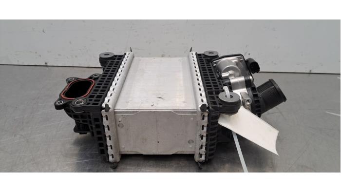 Intercooler Ford Transit Custom