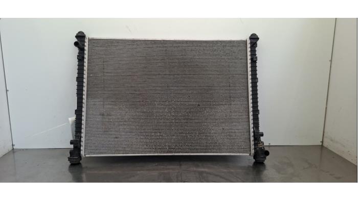 Radiateur Hongqi E-HS9