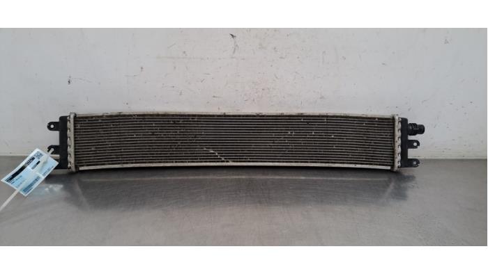 Radiateur Hongqi E-HS9