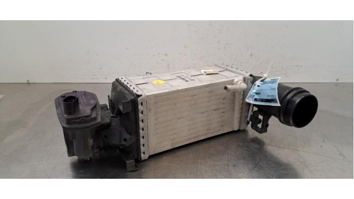 Intercooler Volkswagen Tiguan