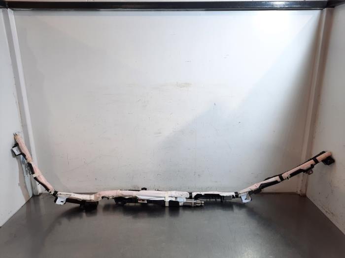 Airbag plafond gauche Toyota Corolla