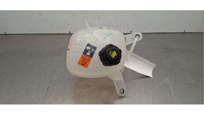 Réservoir d'expansion Renault Austral