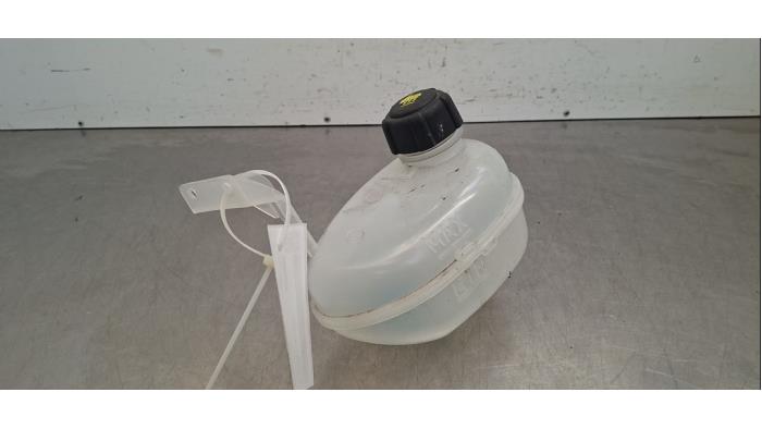 Réservoir d'expansion Renault Megane E-Tech