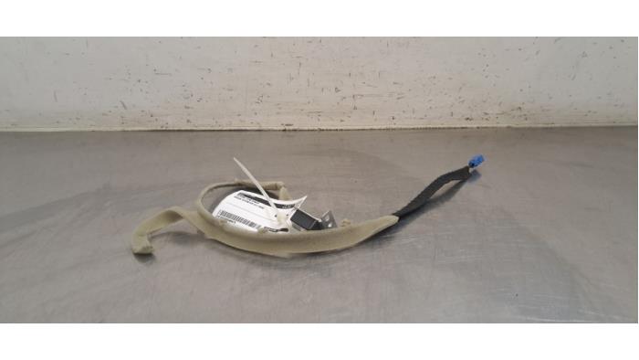 Antenne amplificateur Nissan Interstar