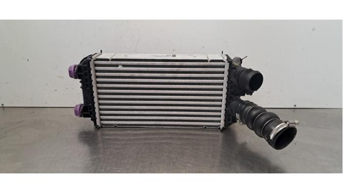Intercooler Jeep Avenger