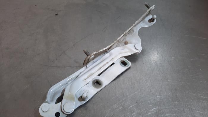 Charnière capot Tesla Model 3