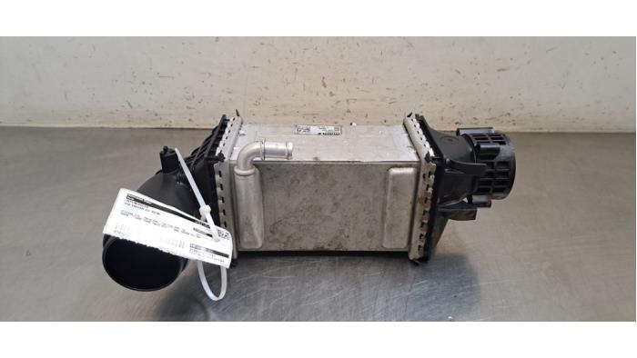 Intercooler Volkswagen Tiguan