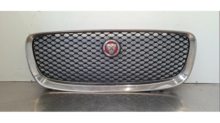 Calandre Jaguar F-Pace